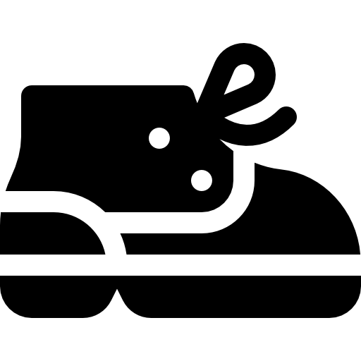 Ayakkabı