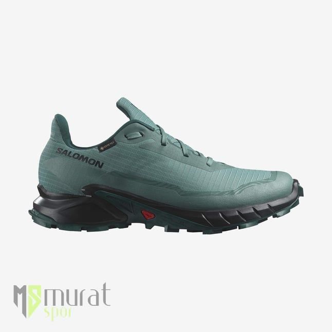 Salomon Alphacross 5 GTX Outdoor Ayakkabı Mavi 42