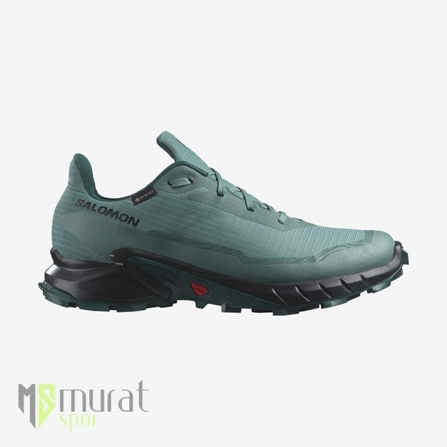 Salomon Alphacross 5 GTX Outdoor Ayakkabı Mavi 43 1/3