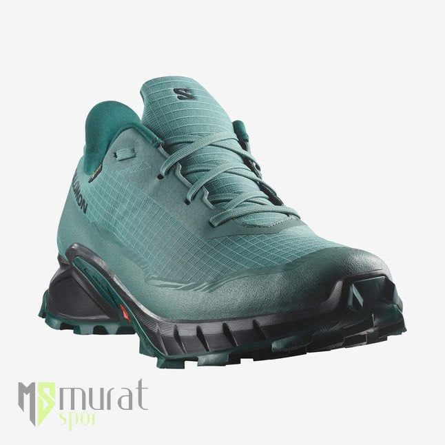 Salomon Alphacross 5 GTX Outdoor Ayakkabı Mavi 45 1/3