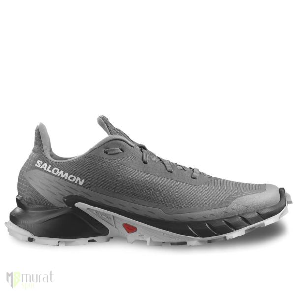 Salomon Alphacross 5 Outdoor Ayakkabı Gri